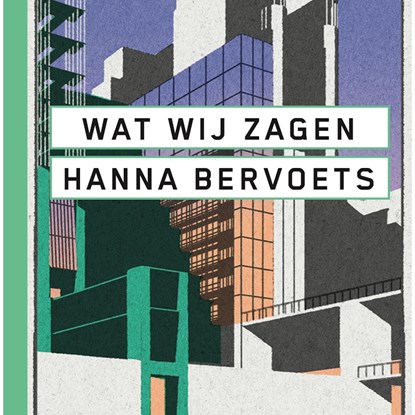 Wat wij zagen, Hanna Bervoets - Luisterboek MP3 - 9789493304437