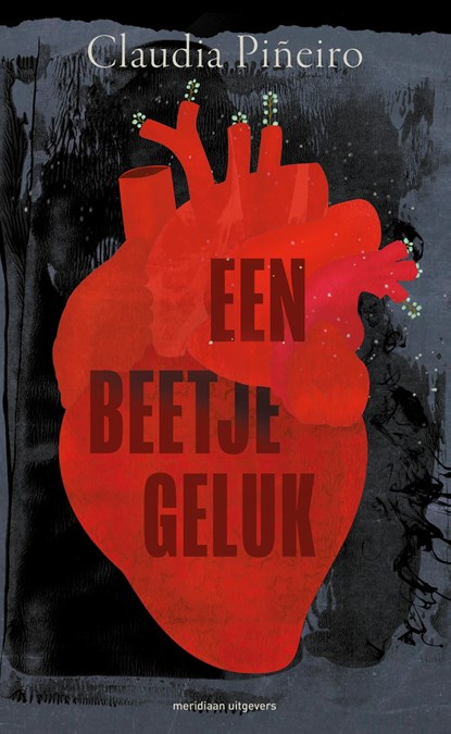 Een beetje geluk, Claudia Piñeiro - Ebook - 9789493305236