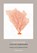 Thuishaven, Judith Hermann - Paperback - 9789493305380