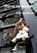 Storm op komst, Alie Seubers - Paperback - 9789493314016