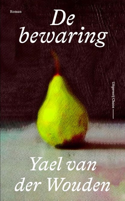 De bewaring, Yael van der Wouden - Gebonden - 9789493320604