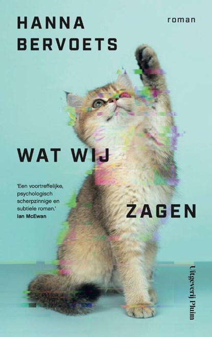 Wat wij zagen, Hanna Bervoets - Gebonden - 9789493339071