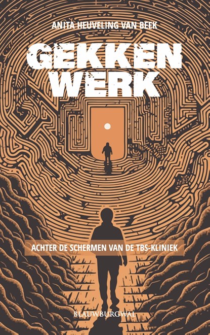 Gekkenwerk, Anita Heuveling van Beek - Ebook - 9789493340091