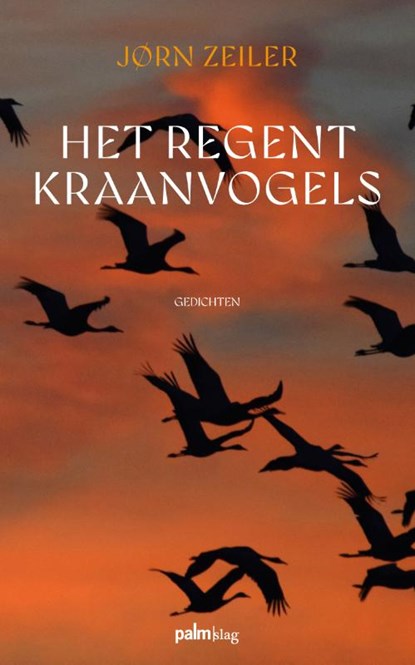 Het regent kraanvogels, Jørn Zeiler - Paperback - 9789493343092