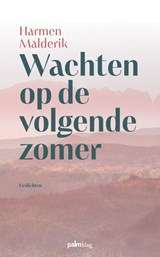 Wachten op de volgende zomer - Harmen Malderik - 9789493343139