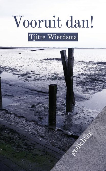 Vooruit dan, Tjitte Wierdsma - Paperback - 9789493343313