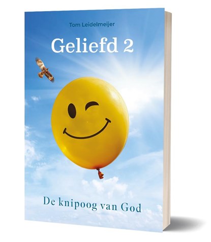 Geliefd 2, Tom Leidelmeijer - Paperback - 9789493345379