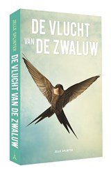 De vlucht van de zwaluw - Jelle Splinter - 9789493345485