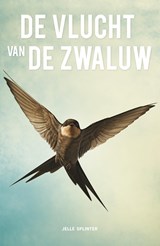 De vlucht van de zwaluw - Jelle Splinter - 9789493345492