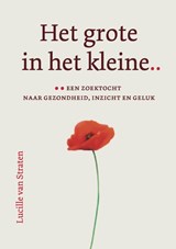 Het grote in het kleine - Lucille van Straten - 9789493349179
