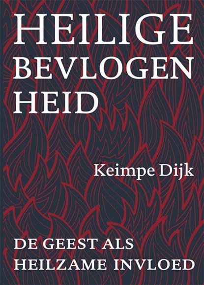 Heilige bevlogenheid, Keimpe Dijk - Paperback - 9789493349384