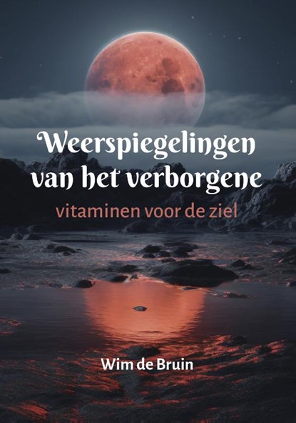 Weerspiegelingen van het verborgene, Wim de Bruin - Paperback - 9789493349766