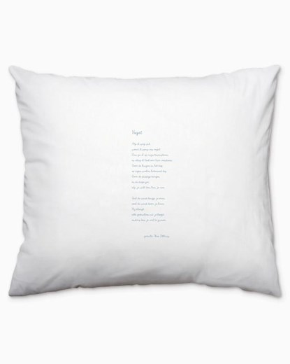 Plint kussensloop 'Vogel' Theo Olthuis, Theo Olthuis - Gebonden - 9789493352704