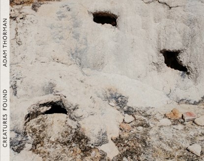 Creatures Found, Adam Thorman - Gebonden - 9789493363113