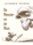 De Meester en de Muis, Alexander Freiberg - Paperback - 9789493364240