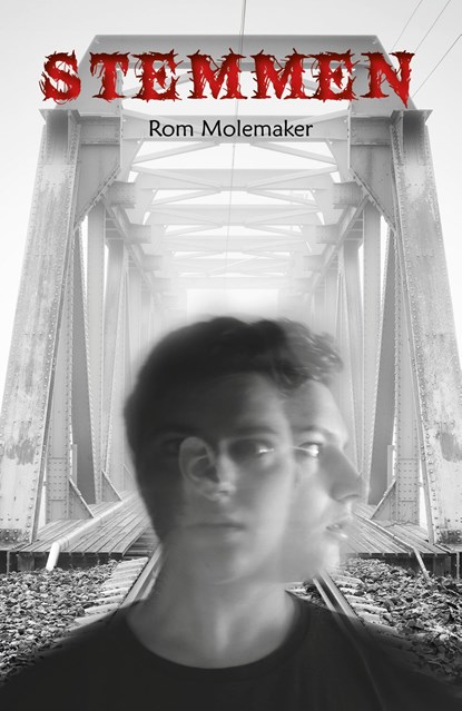 Stemmen, Rom Molemaker - Ebook - 9789493366251