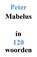 Mabelus in 120 Woorden, Peter Mabelus - Paperback - 9789493366305