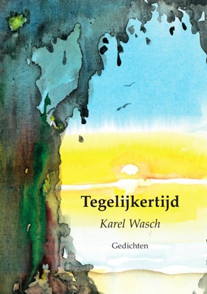 Tegelijkertijd, Karel Wasch - Paperback - 9789493368071