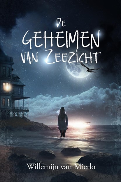 De geheimen van Zeezicht, Willemijn Van Mierlo - Ebook Adobe PDF - 9789493381902