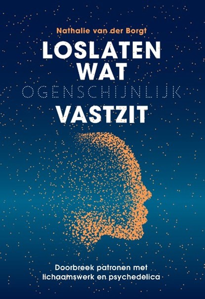 Loslaten wat ogenschijnlijk vastzit, Nathalie van der Borgt - Paperback - 9789493394629