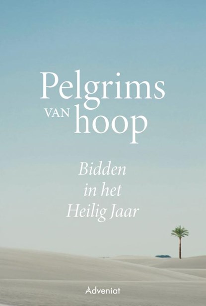 Pelgrims van hoop, niet bekend - Paperback - 9789493395022