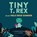 Tiny T. Rex en het hele erge donker, Jonathan Stutzman - Gebonden - 9789493408067
