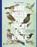 Want vogels zijn precies als mensen, Tim De Winter - Paperback - 9789493410794