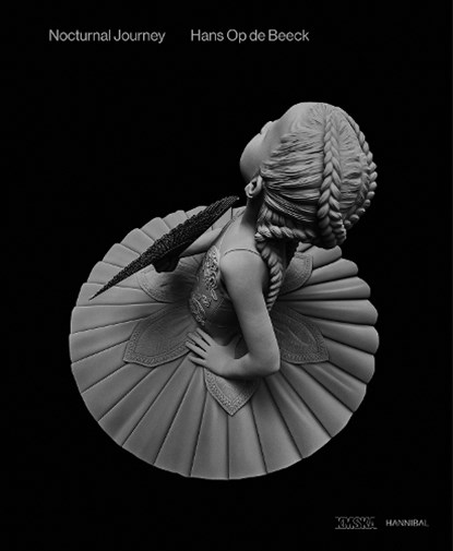 Nocturnal Journey, Hans Op de Beeck - Gebonden - 9789493416055