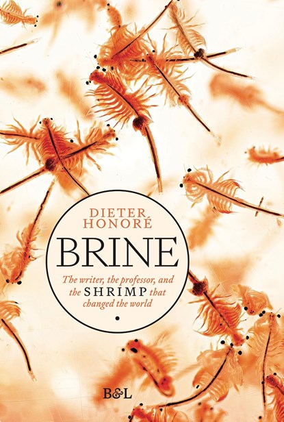 Brine, Dieter Honoré - Ebook - 9789493428003