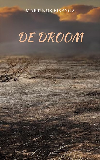 De droom, Martinus Eisenga - Paperback - 9789493437067