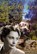 C'est la vie, Chris van Vlijmen - Paperback - 9789493437197