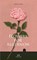 Flowers for Algernon, Daniel Keyes - Paperback - 9789493456266