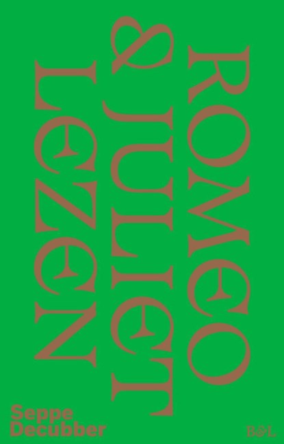 Romeo & Juliet lezen, Seppe Decubber - Ebook - 9789493457430
