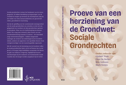 Proeve van een herziening van de Grondwet: Sociale Grondrechten, niet bekend - Ebook - 9789493458574