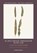 Ik zou graag teruggaan in de tijd, Judith Hermann - Paperback - 9789493486102