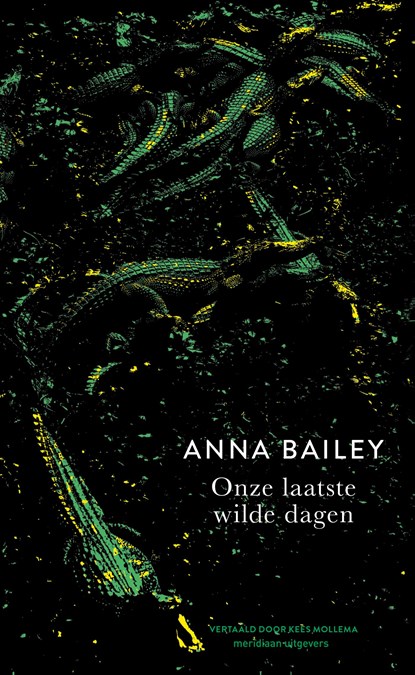 Onze laatste wilde dagen, Anna Bailey - Ebook - 9789493486218