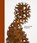 Antony Gormley. Geestgrond, Carolyn Christov-Bakargiev ; Antony Gormley - Gebonden - 9789493508538