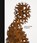 Antony Gormley. Geestgrond, Carolyn Christov-Bakargiev ; Antony Gormley - Gebonden - 9789493508545