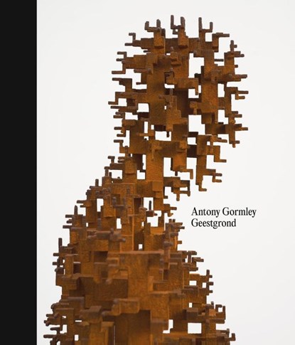 Antony Gormley. Geestgrond, Carolyn Christov-Bakargiev ; Antony Gormley - Gebonden - 9789493508545