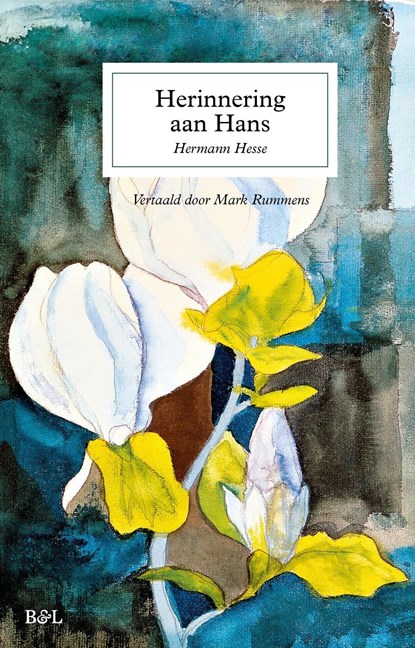Herinnering aan Hans, Hermann Hesse - Ebook - 9789493522091
