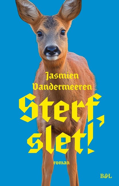 Sterf, slet!, Jasmien Vandermeeren - Ebook - 9789493522145