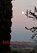 Before the dawn..., Diana Mistera - Paperback - 9789528024675