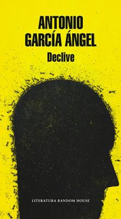 Declive / Decline, ANGEL,  Antonio Garcia - Paperback - 9789588979113