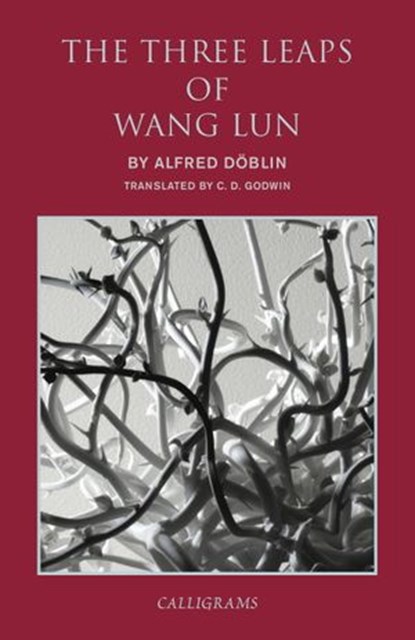 The Three Leaps of Wang Lun, Alfred Doblin - Ebook - 9789629969332