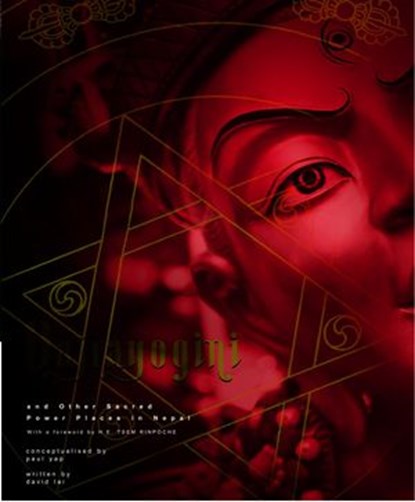 Vajrayogini and Other Sacred Power Places in Nepal, pastor david lai ; paul yap - Ebook - 9789675365409