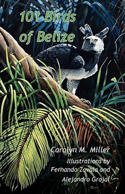 101 Birds of Belize, Carolyn M Miller - Paperback - 9789768142191