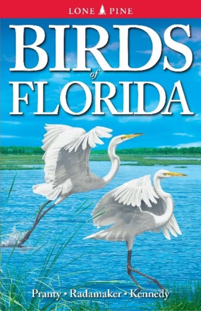 Birds of Florida, Bill Pranty ; Kurt Radamaker ; Gregory Kennedy - Paperback - 9789768200068