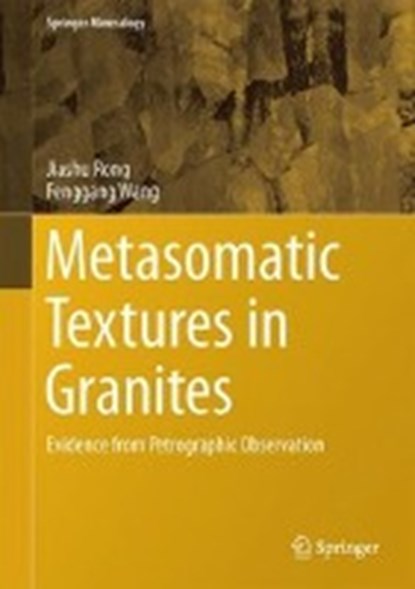 Metasomatic Textures in Granites, Jiashu Rong ; Fenggang Wang - Gebonden - 9789811006654