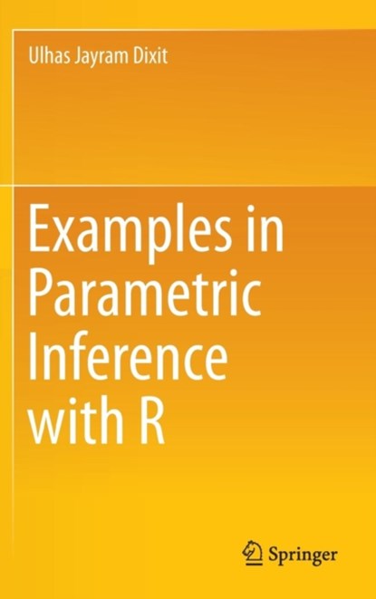 Examples in Parametric Inference with R, Ulhas Jayram Dixit - Gebonden - 9789811008887