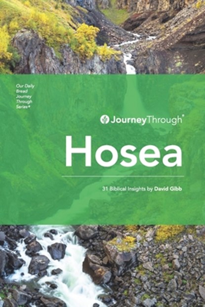 Journey Through Hosea: 31 Biblical Insights by David Gibb, David Gibb - Paperback - 9789811172946